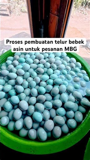 Proses pembutan telur bebek asin untuk pesanan program MBG #telur #bebek #telurasin #fyp #shorts