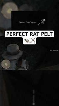PERFECT RAT PELT👍🏽🔥Itz always here💯N Itz always EZ! 🐀🏹#rdr2 #fyp #playstation #pcgaming #xbox