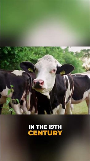 “Vaccine” doesn’t mean what most people think.