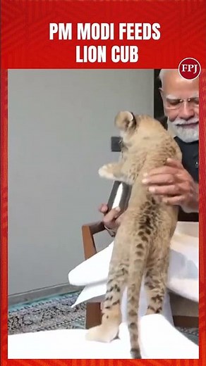PM Modi Seen Feeding Lion Cub, Handling Snake