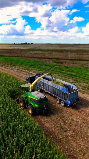 🌽🌽 John Deere Harvester Cutting Fresh Corn🌽🚜#viral #shortsfeed #farming #shorts#youtubeshorts#agri