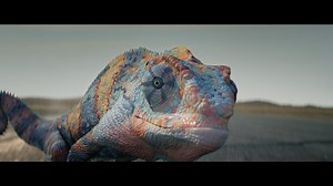 500 reactions · 49 shares | Discover the three distinct all-new species of 2020 Soul. Which is yours? | Kia America | Facebook