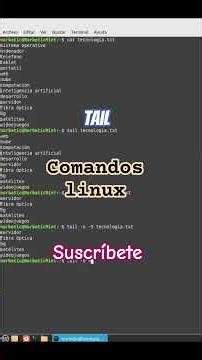 🔥 Domina Linux al Máximo: Comandos Esenciales para Controlar tu Sistema desde la Terminal. tail
