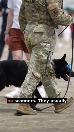 Can You Detect Edibles Through Airport Security Scanners? #shorts