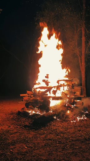 ghost. (@gray_ivy)’s videos with Gentle Wind Chimes - Wind Sounds