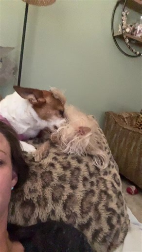 Morning make out sesh