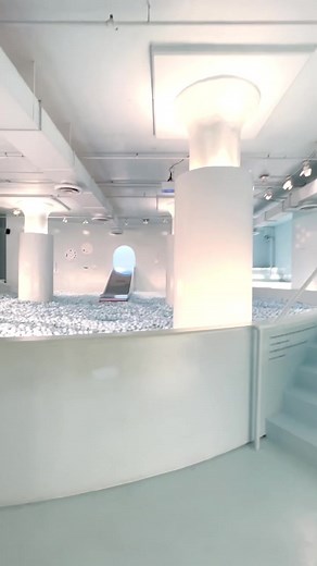 Color Factory on TikTok