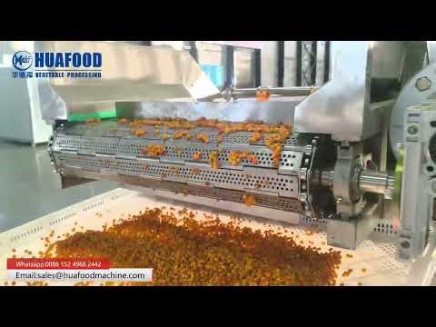 Industrial Sea Buckthorn Bubble Washing Machine: Efficiently & Gently