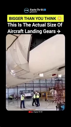 The Real Size of Aircraft Landing Gears ✈️