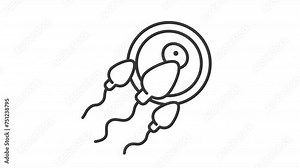 Fertilization line animation. Insemination animated icon. Impregnation biological anatomy. Sperm egg, ovum. Black illustration on white background. HD video with alpha channel. Motion graphic