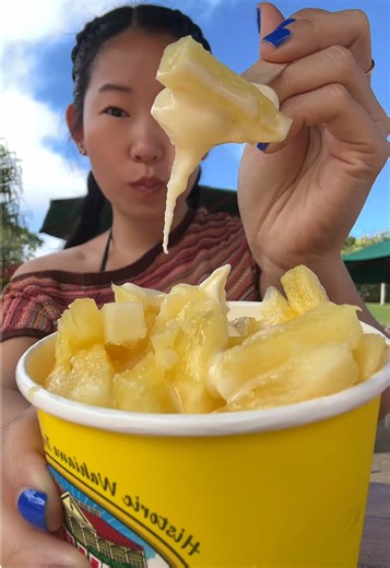 Top Local Food Spots to Try on Oahu, Hawaii