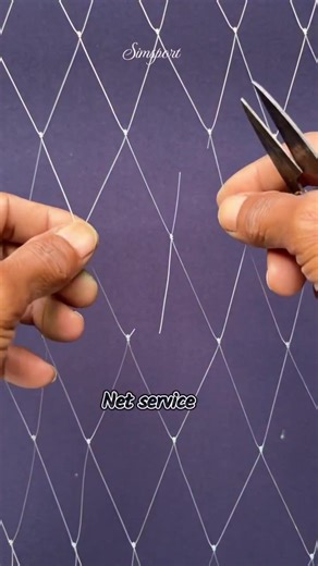 Exploring the 50 States of America: A Local Perspective