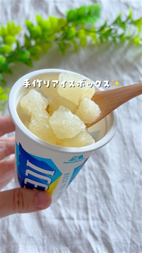 手作りアイスボックス✨