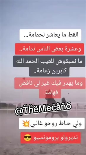 #ŤĥëMēĉåñő #سطيف_العالي_ٱخاالي💖💖💖💖💖🎼🎼 #فرنسا🇨🇵_بلجيكا🇧🇪_المانيا🇩🇪_اسبانيا🇪🇸 #tiktokindia #مشاهير_تيك_توك #الجزائر #الشعب_الصيني_ماله_حل😂😂