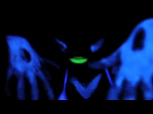 The Matrix - Bassnectar (OFFICIAL FAN VIDEO)