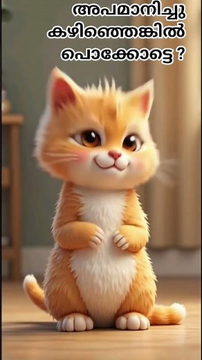 😿 Sad Cat Mood | Cute But Emotional Kitty Moments.