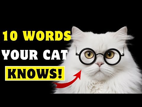 10 WORDS Your Cat Truly UNDERSTANDS (According to Science)