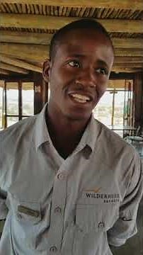 Bushman Click Language