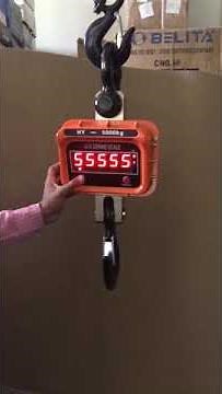 Calibration Process Of Original HY SERIE Digital Crane Scale