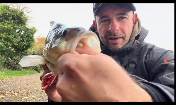 Lure Fishing Techniques for Catching Perch in the UK