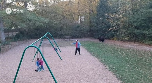 3.2K views · 12 reactions | OMG Angry bear attack caught by cctv #viralpost2025シ #viralvideochallenge#viralreelschallenge #viralchallenge #viralreelschallenge2025viralreelschallengejaiviralreelschallengeviralreelschallenge #viralchallenge #usareels #usa #usa_tiktok #fypchallenge #facebookpost #facebookreel #facebookviral | Brainstorm Stories | Facebook