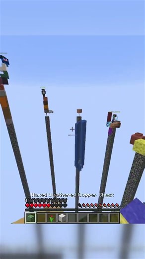 Pillars of Fortune 22 #minecraft