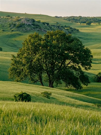 Discover Farmic: Your Source for Organic K-Beauty Products