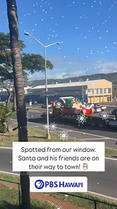 ‘Tis the season for Honolulu City Lights! 🎄 | PBS Hawai‘i