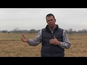 Jason Cleere - Beef Cattle Management - Basic Beef Cattle Management