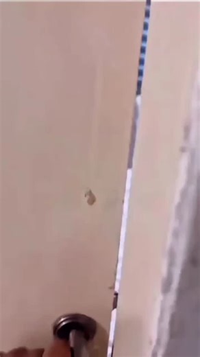 Bollytellymania on Instagram: "Follow @skyxoxopony my new 💜 The Tesla Cybertruck is an all-electric,battery-powered light-duty truck unveiled by Tesla, Inc. Here’s a comprehensive overview of its key features and specifications Tesla Cybertruck Overview Design and Structure Exterior: The Cybertruck has a distinctive angular, stainless steel exoskeleton design for durability and passenger protection. It features ultra-hard 30X cold-rolled stainless steel and armored glass Dimensions: Approximate