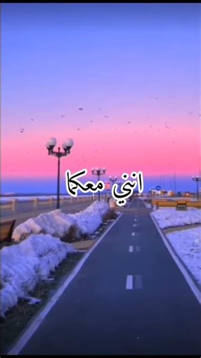 المحتوى صار محتوى قران 🥹💗 (ممكن تتابعو قناة @MalikSaid-m6e) #قران_كريم