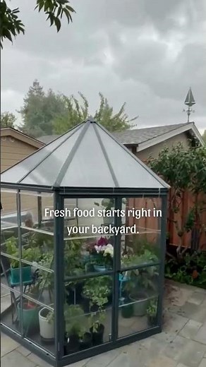 Grow All Year Long | Canopia Greenhouses