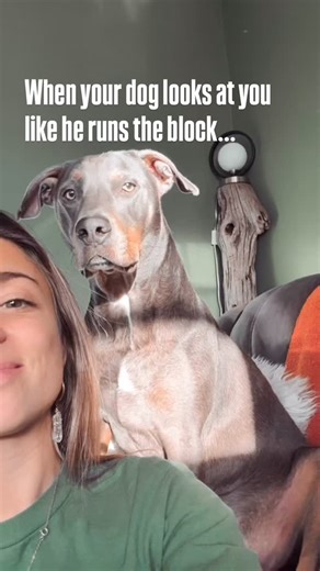 He’s not all bark. My boy Frankie’s full time body guard. 😂 | Briana Codella