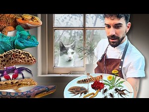 Feeding all my Animals