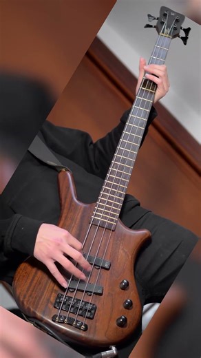 Dimmu Borgir - Ulvgjeld & Blodsodel 3/3 #bass #dimmuborgir