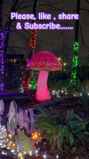 #lafarge #shorts #trending #nature #viral #roadtrip #coquitlam #roadtrip #family #vlog #india#light