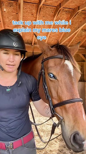 Understanding Americanella's Blue Eye and Her Jumping Career