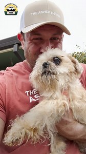 He was so close to being put down. We got him just in time and named him Joe Pesci after world famous actor, Joe Pesci ❤️ | The Asher House