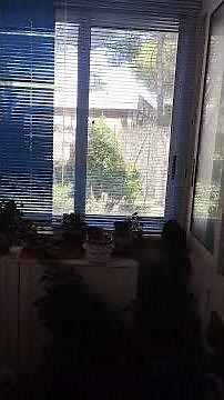 Matthew Shipp, "The Cosmic Piano" (2025). short review (avantgarde jazz)