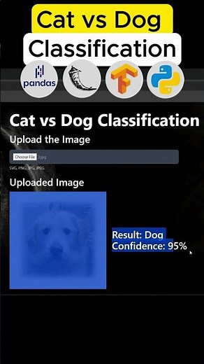 CNN from Scratch in TensorFlow #deeplearning #machinelearning #computervision #ml #opencv #coding
