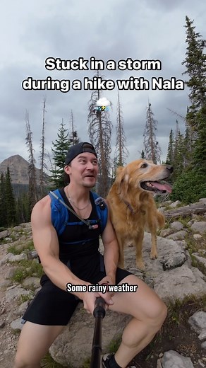 Chris & Nala on Instagram: "Nala stomps no matter what the weather is. From hail at the lake to beautiful blue skies and clear views at the peak. Loved this hike so much 🫶 #dog #goldenretriever"