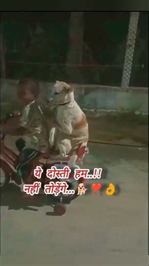 "Street Dog Pluto ने इंसान के साथ की साइकिल की मजेदार सवारी🚴🐶"insan aur pluto ki dosti#pluto#dosti