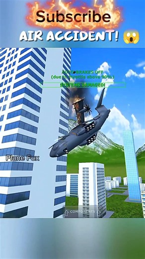 Can a Plane Survive After Hitting the Wall? 😱 (TFS)