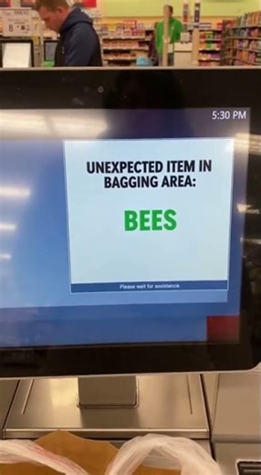 😱 Self-Checkout Reads EVERYTHING as BEES — this is NOT okay