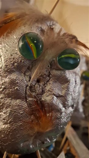 Evert Arends on Reels