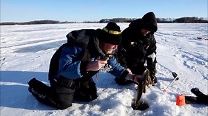 HT Ice Riggers work great for all species! 🎣 ➡️ https://icefish.com/IRG-1/ ⬇️Full YouTube Link⬇️ https://youtu.be/zn4luzU7Wfs | HT Enterprises Inc