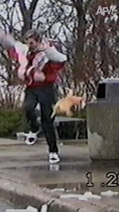 When animal instincts turn into street smarts. 🧠 | AFV Classics