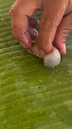 Ordan Almodiel Ollos on Instagram: "Bunlod process😍 #holidayfood"