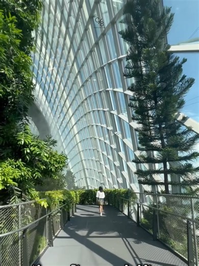 Intercompany Licensing: Unlocking Scalable Profit