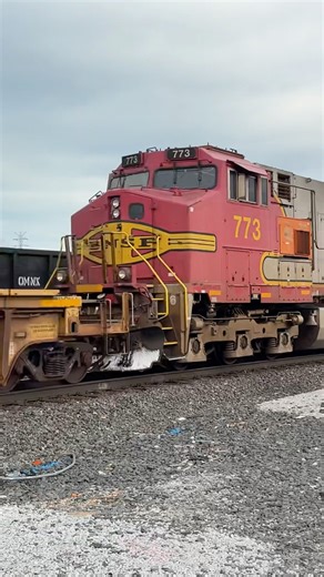 BNSF 773 trails on a intermodal past Pine Junction